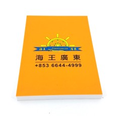 Post-it Memo pad with cover -Neptune GD